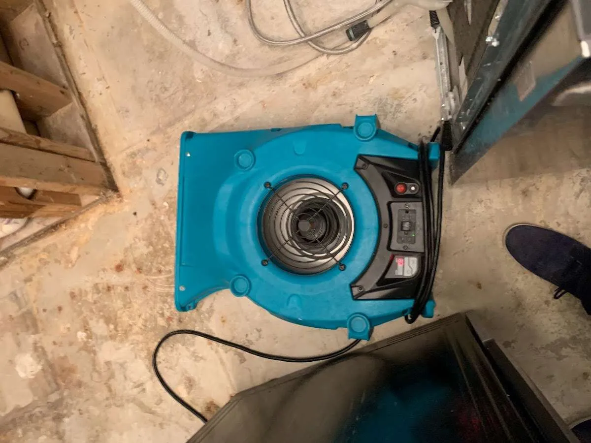 Air mover drying equipment for Mold Remediation & Removal in Old Tappan